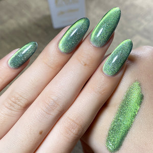 LAVIS 9D Cat Eyes CE4 - 06 - Gel Polish 0.5 oz - Fairy Tale Collection