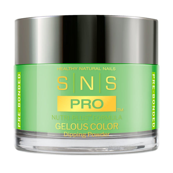 SNS Pro Dipping & Acrylic Powder Pink Collection - 139 DW-20