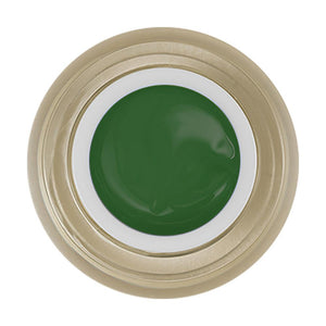 LDS 11 - Green - Draw Painting Gel Nails Polish Nail Art - 0.5 oz