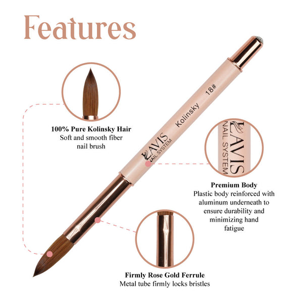 Lavis Kolinsky Acrylic Brush #12