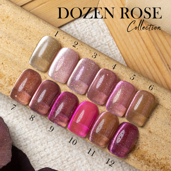 LDS DR 12 Colors - Gel Polish 0.5 oz - Dozen Rose Collection